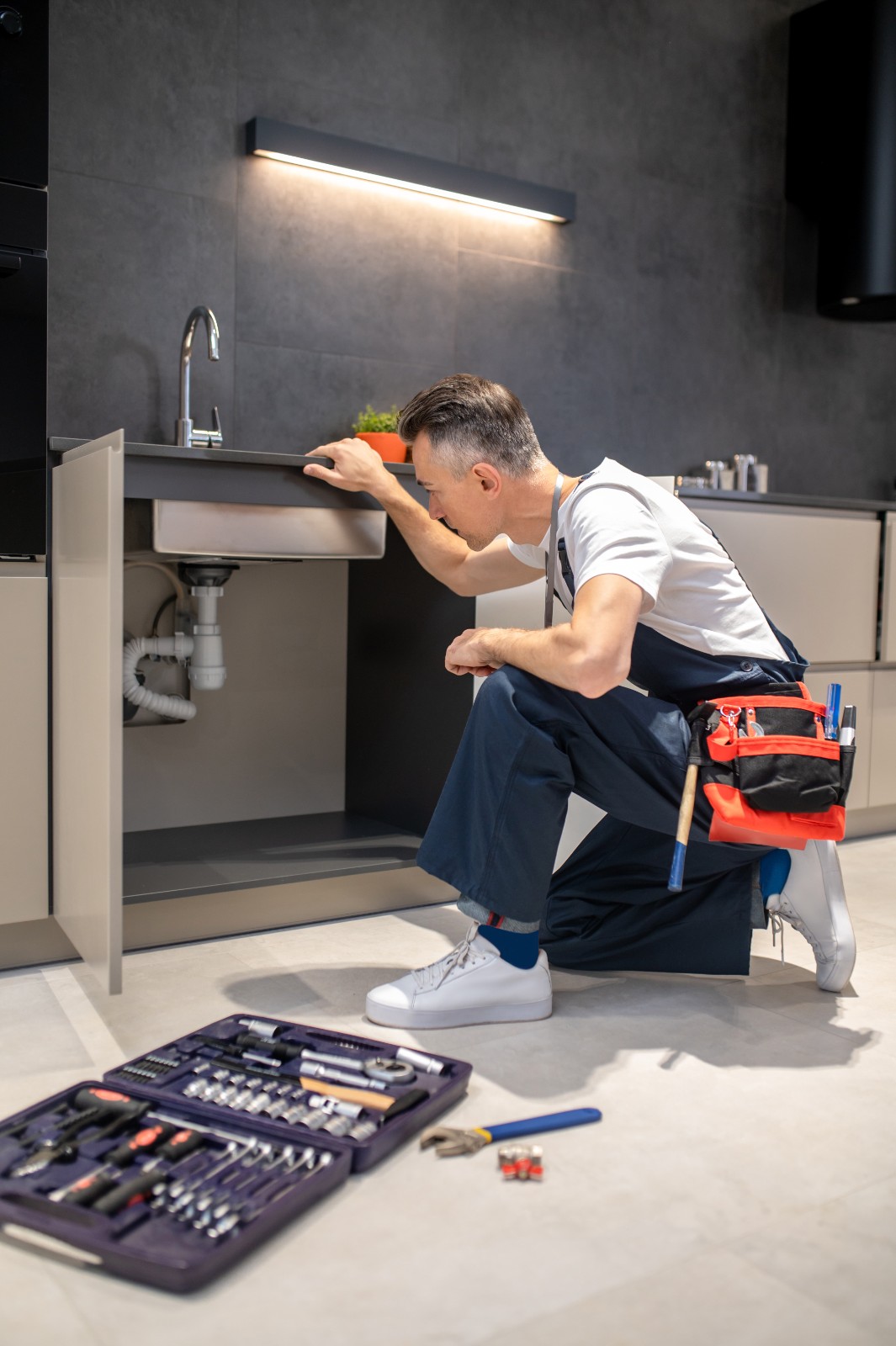 Property Maintenance Professional